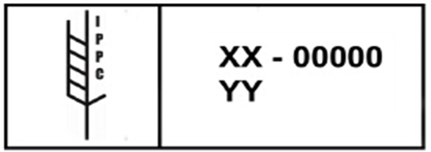 游艇会·yth206(中国)最新官方网站
