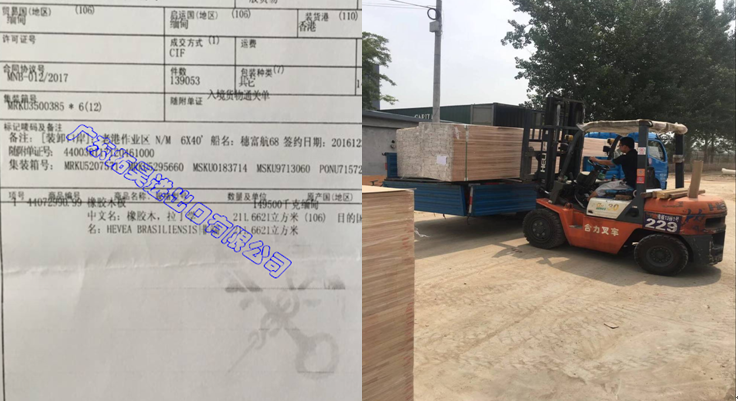 游艇会·yth206(中国)最新官方网站